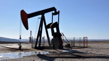 TPAO'nun Diyarbakır ve Mardin'deki sahasında petrol arama ruhsat süresi uzatıldı