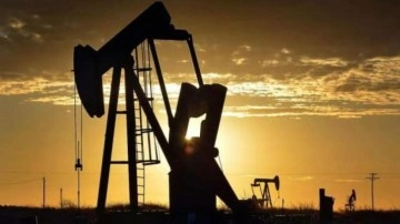 TPAO'ya Mardin ve Şırnak'ta petrol arama izni