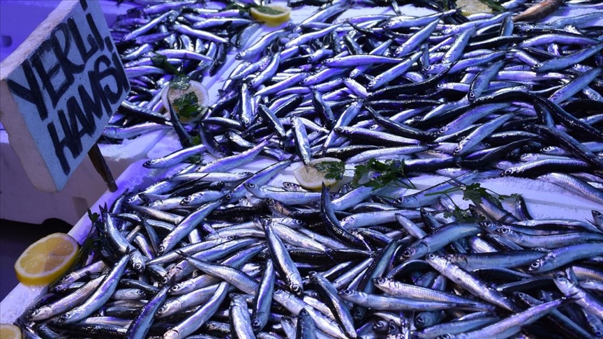Trabzon'da tezgahlardaki balık bolluğu vatandaşın yüzünü güldürdü