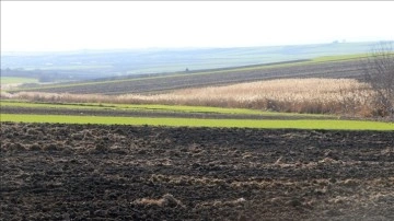 Trakya &ccedil;ift&ccedil;isi &uuml;r&uuml;nlerin gelişimi ve y&uuml;ksek verim i&ccedil;in kar yağışı bekliyor