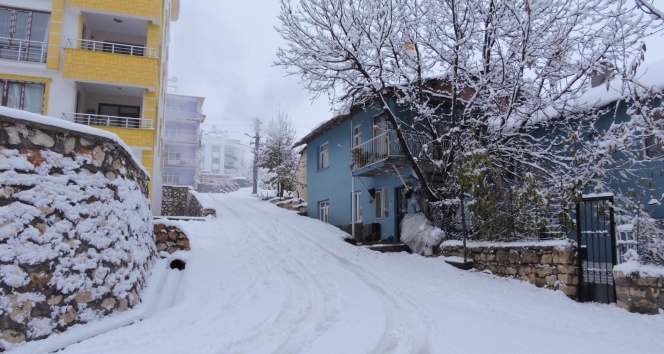 Tunceli'de kar yağışı etkili oldu, 132 köy yolu kapandı