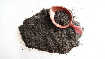 T&uuml;rk &ccedil;ayı ihracatı son 5 yıldır hız kesmiyor