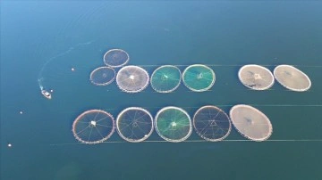 T&uuml;rk somonu ihracatında hedef &uuml;lke &ccedil;eşitliliğini artırmak