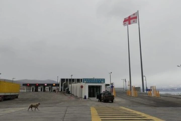 Türkgözü Sınır Kapısı geçici olarak trafiğe kapatıldı
