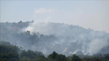 Türkiye - Bulgaristan sınırında çıkan orman yangınına müdahale ediliyor