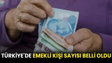 Türkiye'de emekli kişi sayısı belli oldu