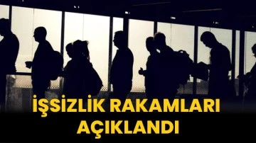Türkiye'de İşsizlik rakamları açıklandı