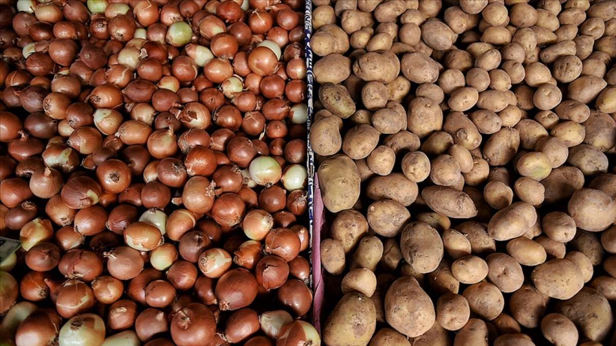 Türkiye geçen yıl 124 bin ton patates, 220 bin ton soğan ihraç etti
