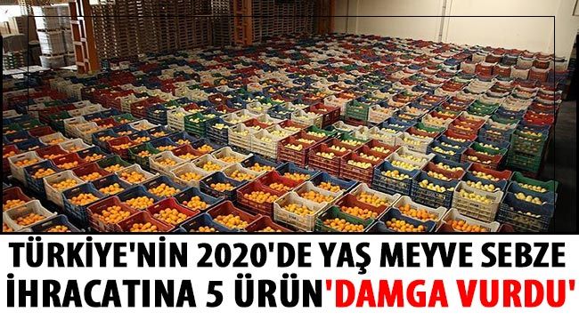  Türkiye'nin 2020'de yaş meyve sebze ihracatına 5 ürün 'damga vurdu'