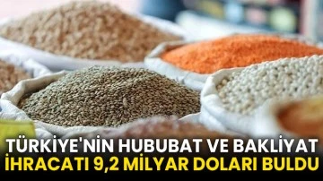 Türkiye'nin hububat ve bakliyat ihracatı 9,2 milyar doları buldu
