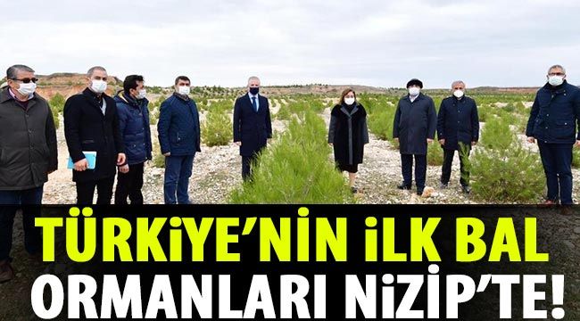 Türkiye’nin ilk bal ormanları Nizip’te!