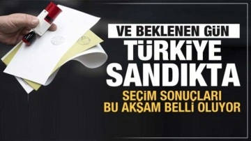 Türkiye sandığa gidiyor! Seçim sonuçları bu akşam belli olacak