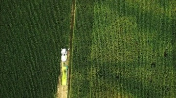 T&uuml;rkiye'de 440 b&uuml;y&uuml;k ova &ouml;zel koruma kalkanına sahip