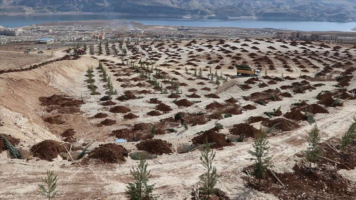 Türkiye'de çölleşme ve kuraklıkla mücadele çalışmaları aralıksız sürüyor