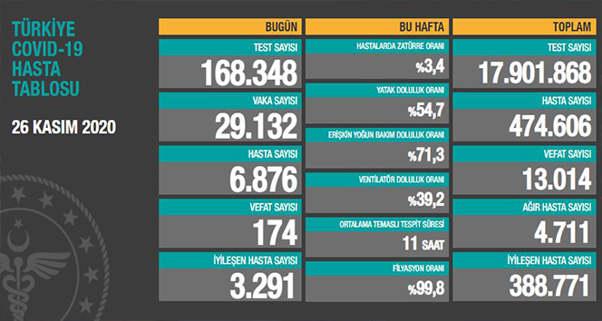 Türkiye'de son 24 saatte 29.132 koronavirüs vakası tespit edildi