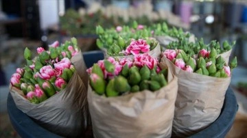 Türkiye'den 83 ülkeye 125 milyon dolarlık çiçek ihracatı