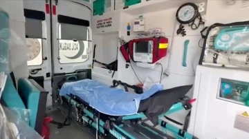 Türkiye'den gönderilen 2 tam donanımlı acil yardım ambulansı Libya'daki yetkililere teslim