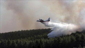 Türkiye'den, Yunanistan'daki orman yangınlarıyla mücadeleye destek