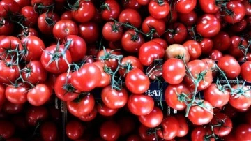 Türkiye'nin 11 aylık yaş meyve sebze ihracatının yaklaşık 5'te 1'ini üzüm ve domates