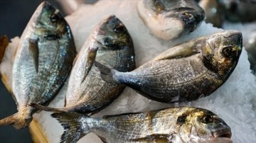 T&uuml;rkiye'nin 2022'deki su &uuml;r&uuml;nleri ihracatında &ccedil;ipura, levrek ve T&uuml;rk somonu başı &ccedil;ekti