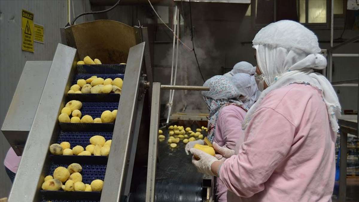 Türkiye'nin en büyük 500 sanayi kuruluşu listesine gıda firmaları damga vurdu