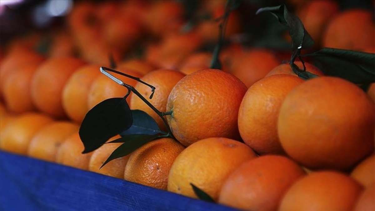 Türkiye'nin portakal ihracatı 'salgınla' yüzde 41 arttı