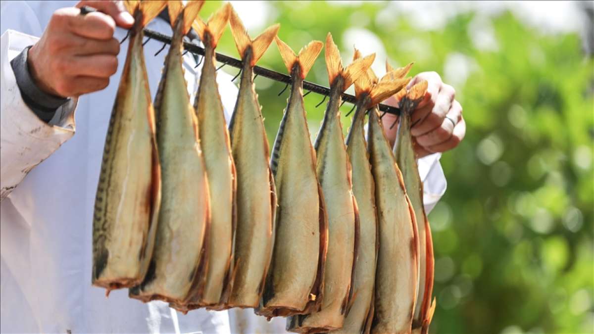 Tütsülenmiş Ringa balığı Gazze'de bayram sofralarını süslemeye hazırlanıyor