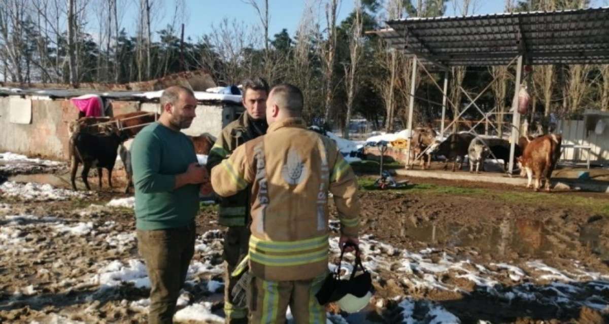Tuzla'da ahırın çatısı çöktü: Mahsur kalan 60'a yakın hayvan kurtarıldı