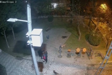 Ümraniye’de sokak köpeklerine ateş eden saldırganının önünde siper oldu