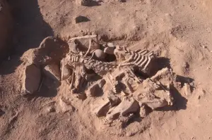 Urartuların ölü gömme geleneğine ışık tutacak keşif