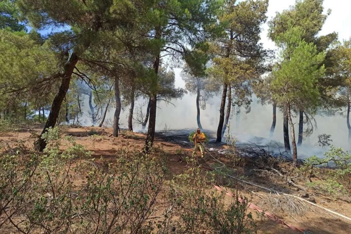 Uşak'taki orman yangınında 2 buçuk hektar alan kül oldu