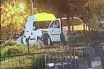 &Uuml;sk&uuml;dar&rsquo;da k&ouml;peği silahla vurarak yaraladılar