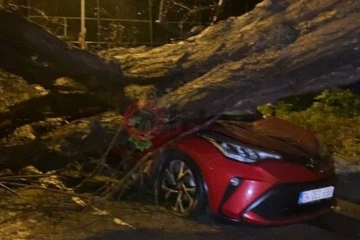 Üsküdar’da yarım asırlık akasya ağacı 2 otomobilin üzerine devrildi