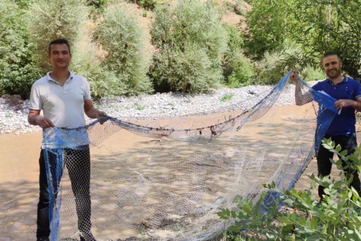 Van'da kaçak avlanılan 15 kilo sıraz balığı ele geçirildi