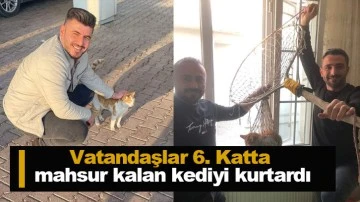 Vatandaşlar 6. Katta mahsur kalan kediyi kurtardı