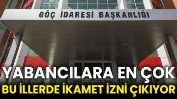Yabancılara en çok bu illerde ikamet izni çıkıyor