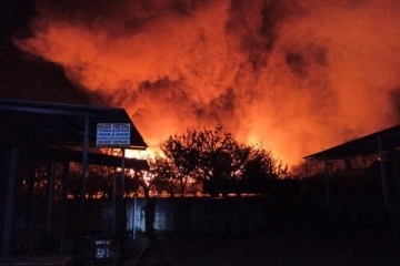 Yalova’da kereste fabrikasında korkutan yangın