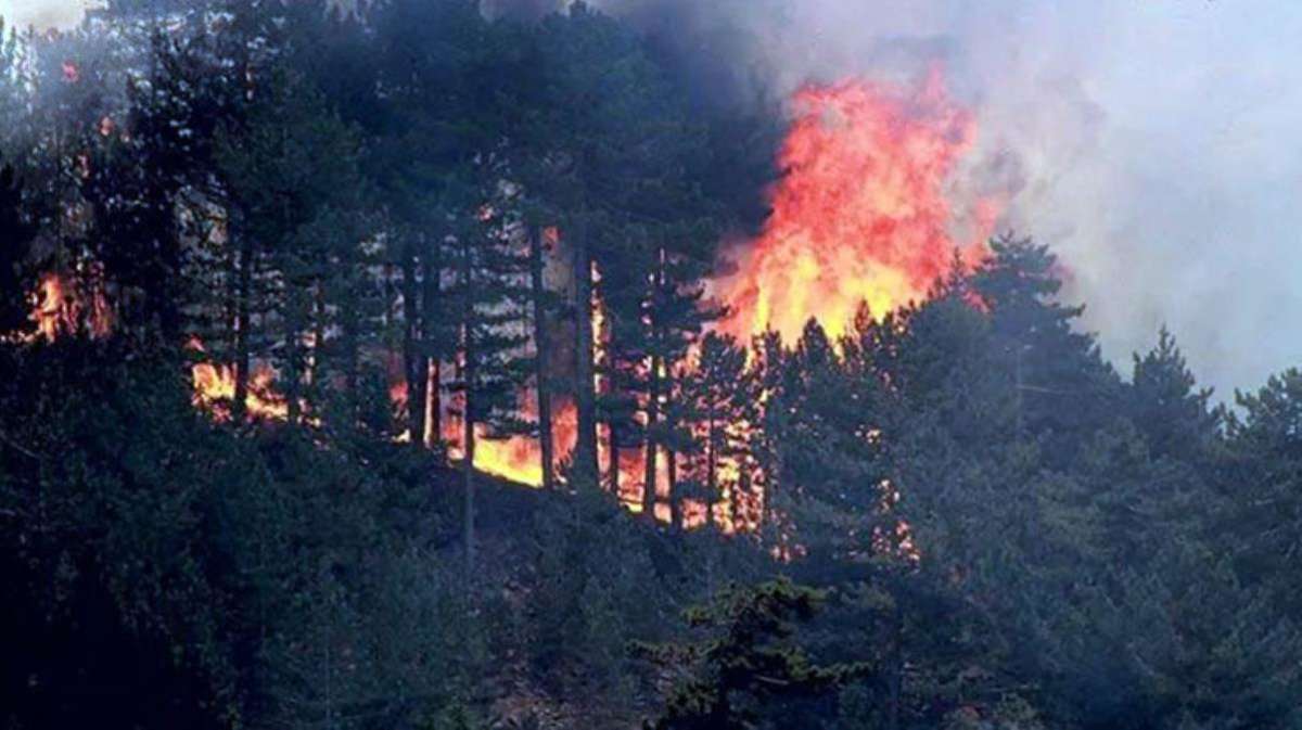 Yangın önlemleri için İstanbul dahil 12 kentte ormanlara giriş yasaklandı