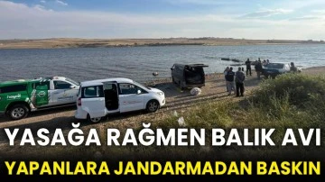 Yasağa rağmen balık avı yapanlara jandarmadan baskın