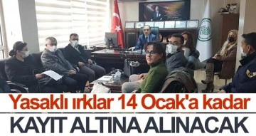 Yasaklı ırklar 14 Ocak'a kadar kayıt altına alınacak