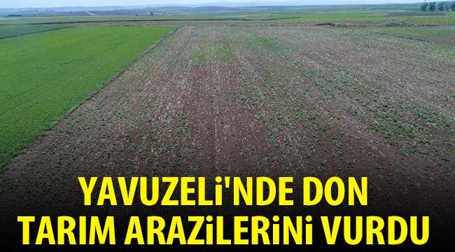Yavuzeli'nde don tarım arazilerini vurdu 