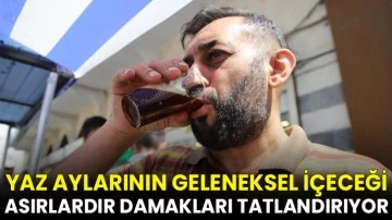 Yaz aylarının geleneksel içeceği asırlardır damakları tatlandırıyor