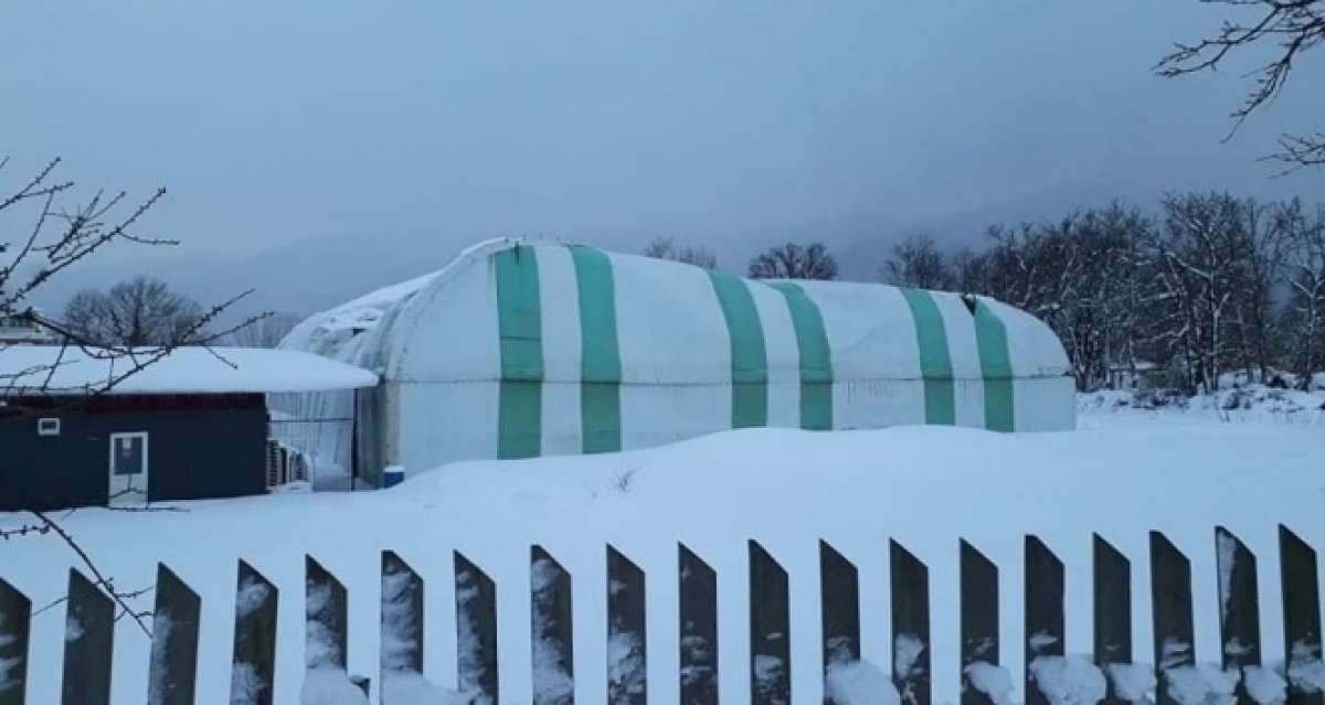 Yenice'de biriken karlar halı sahanın çatısını çökertti