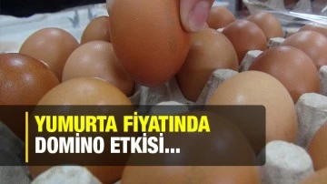 Yumurta fiyatında domino etkisi...