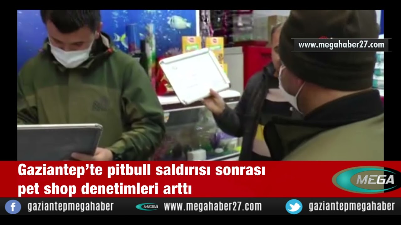 Gaziantep’te pitbull saldırısı sonrası pet shop denetimleri arttı
