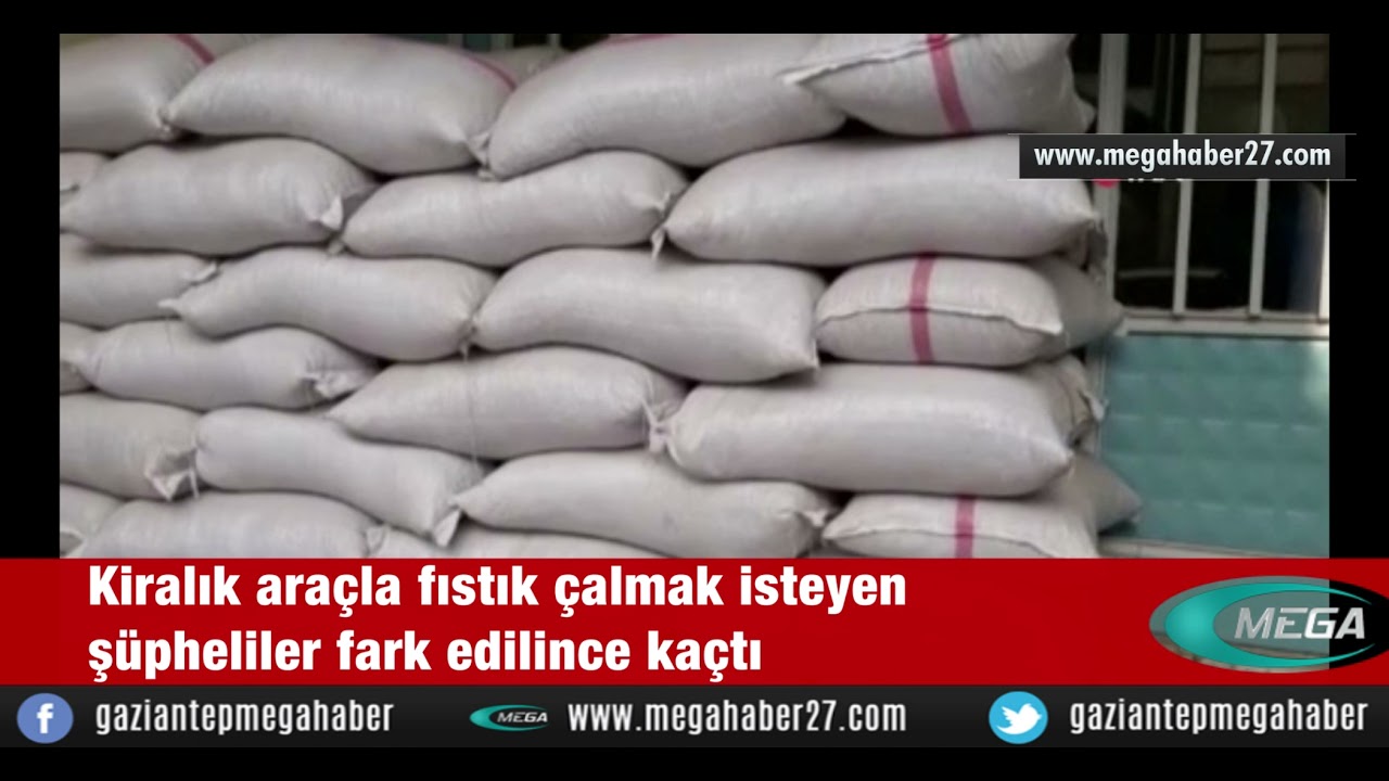 Gaziantep'te Kiralık araçla fıstık çalmak isteyen şüpheliler fark edilince kaçtı