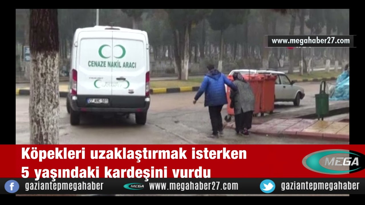 Köpekleri uzaklaştırmak isterken 5 yaşındaki kardeşini vurdu